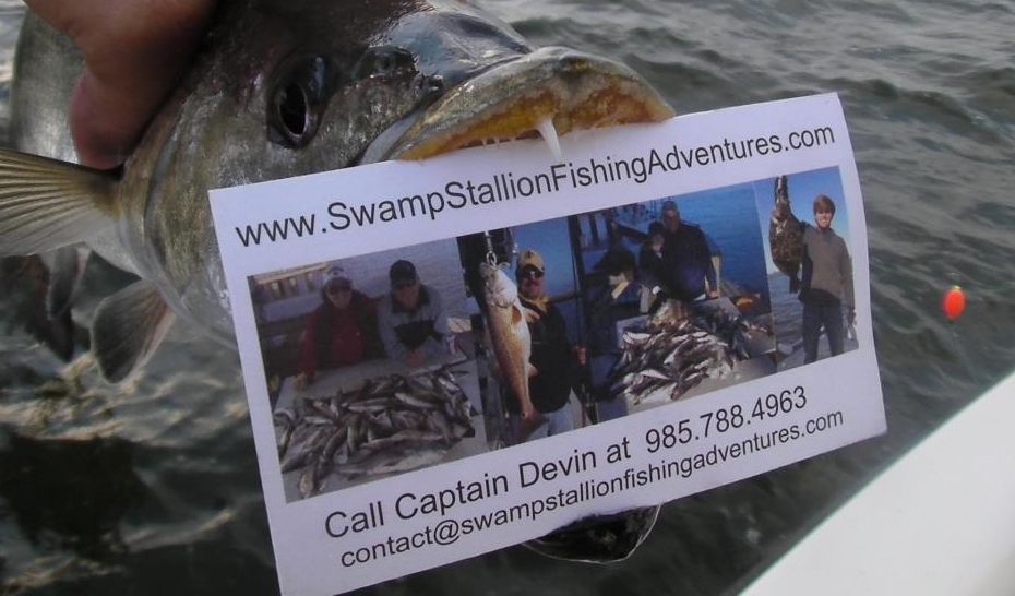 Don't be scurred! Check us out!