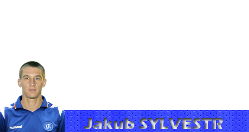 barrasylvestr_zps43f233ff.png