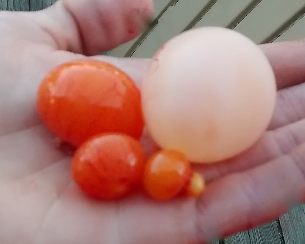photo eggassemblyline_zpswqvvqocv.jpg