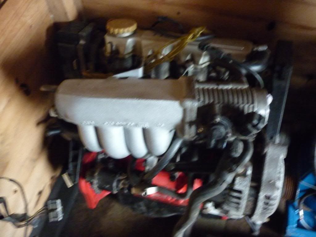 P1010910_zps7d280f06.jpg