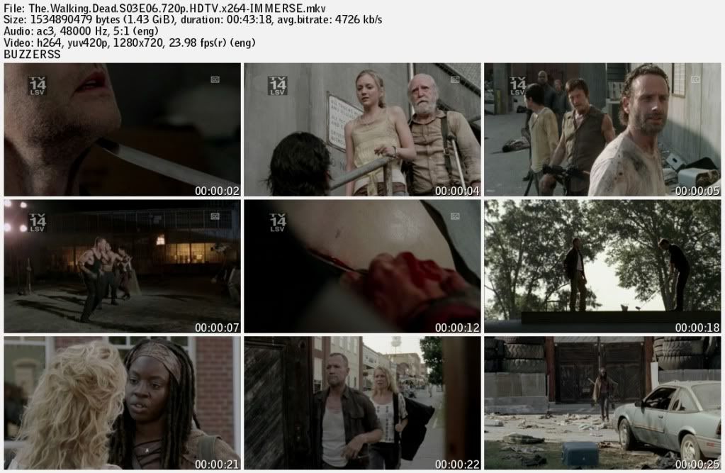 The Walking Dead S03E06 720p HDTV x264 IMMERSE