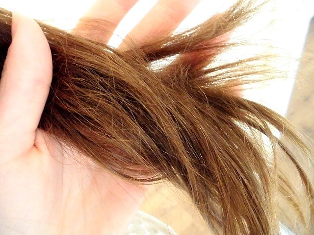 photo CIMG2297_zps1281d724.jpg