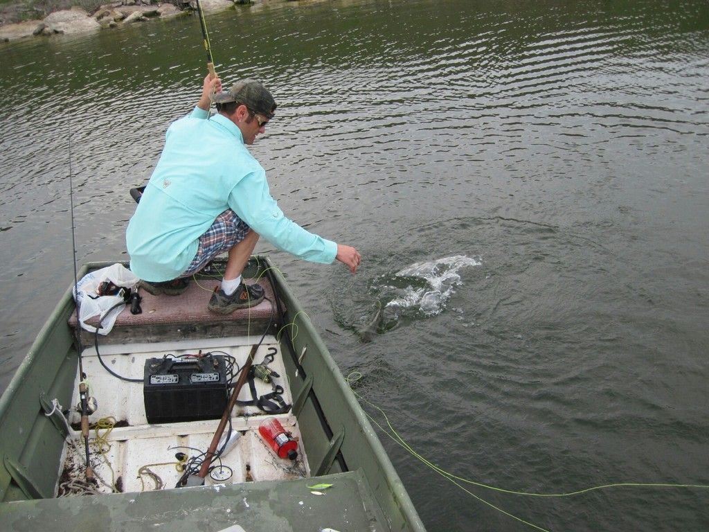 A Few Bass From Last Week An One Barn Door Crappie Texas Fishing