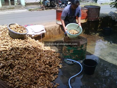 menggunakan air bersih yg mengalir untuk memastikan tidak ada sisa tanah yg masih menempel