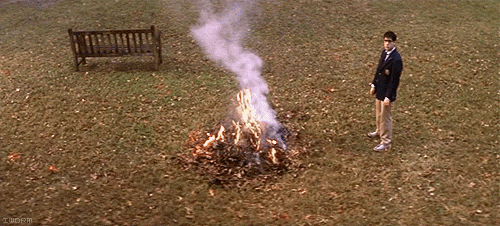 photo 239.gif