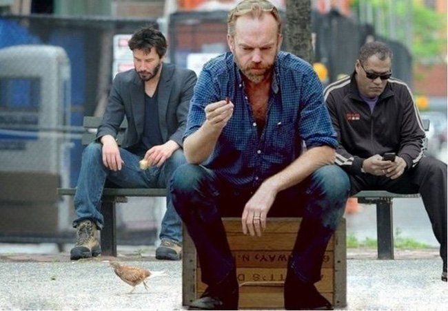 A Different "The Matrix" A Different "The Matrix"
