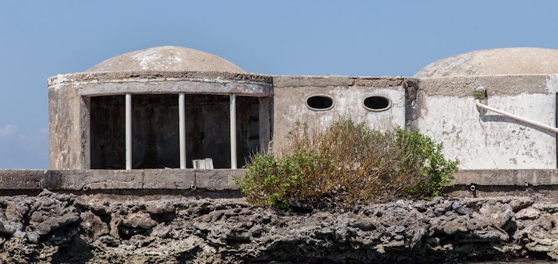 Modern Day Ruins - Estate of Pablo Escobar, Urban explorer and photographer Stefaan Beernaert, also known as Fotantje, has explored the islands off Catagena and photographed the so-called "Drug Islands." These images came from Escobar's own palatial estate, whose sole resident seems to be a rather large sow.