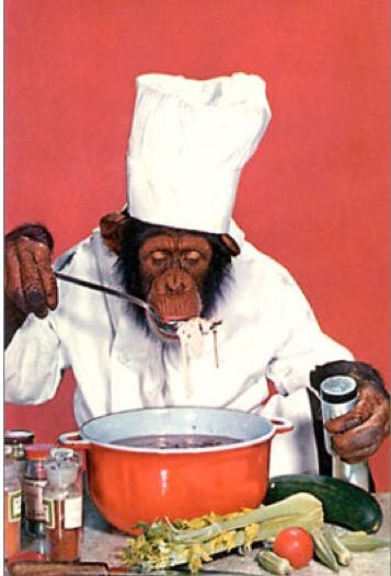 Chimp chef photo image.jpg1_zpszvb1htfc.jpg