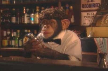 Chimpanzee bartender photo the-truth-about-corporate-culture-spill-check-L-dfGJiC_zpsmndwmibt.jpeg