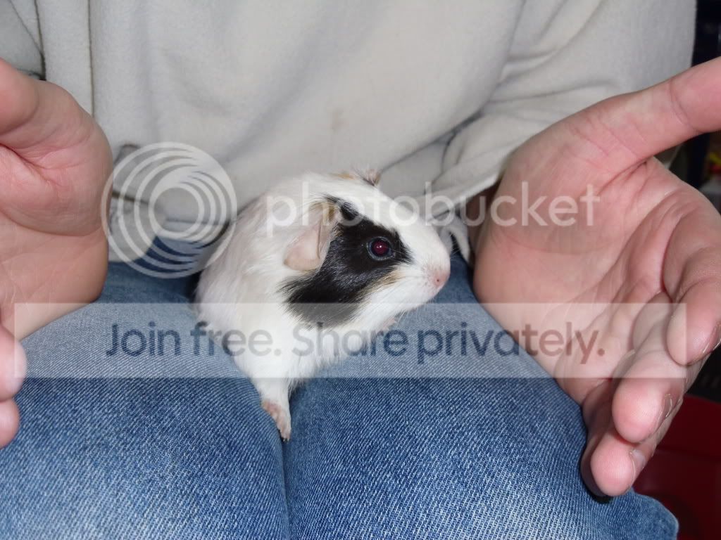 SAM_1473.jpg